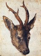 Albrecht Durer The Head of Stag USA oil painting artist
